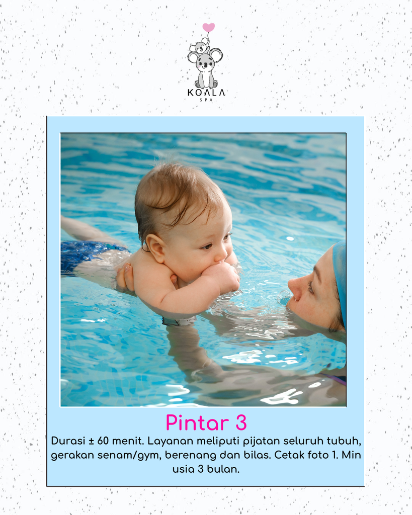PINTAR 3