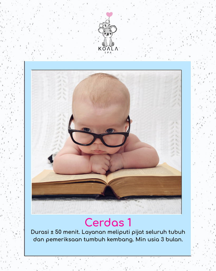 CERDAS 1