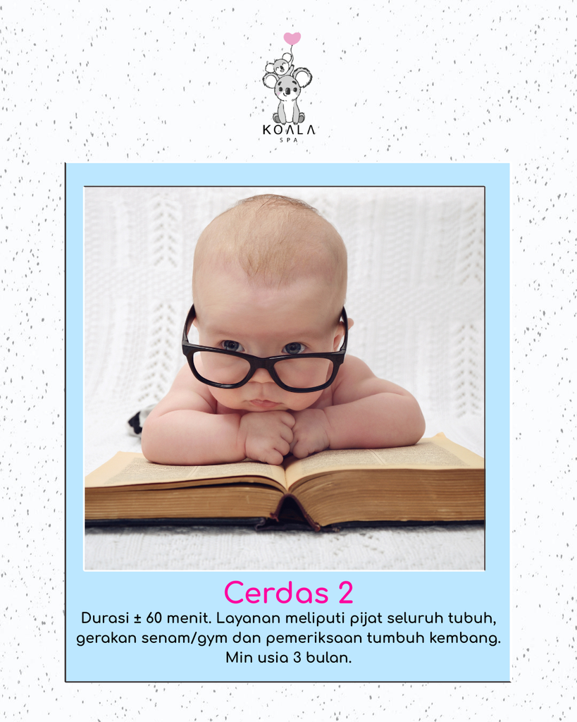 CERDAS 2