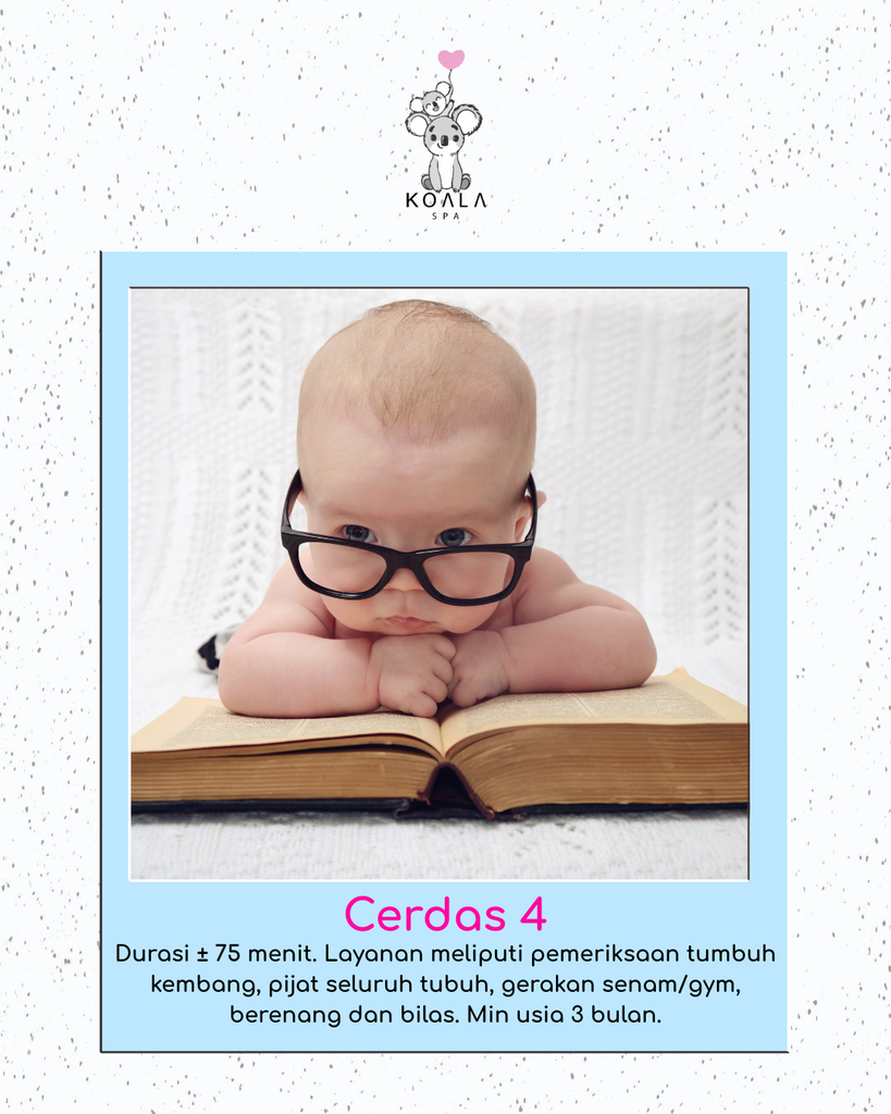 CERDAS 4 
