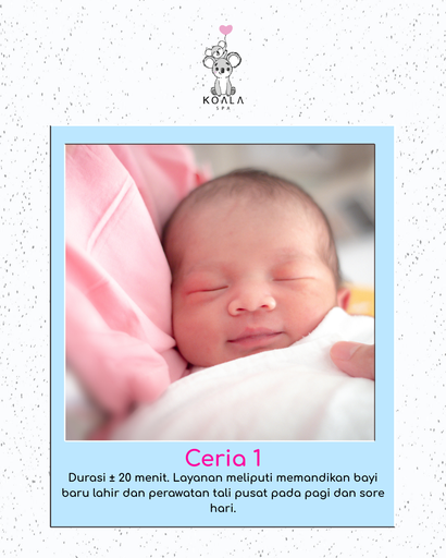 CERIA 1 