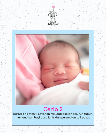 CERIA 2 