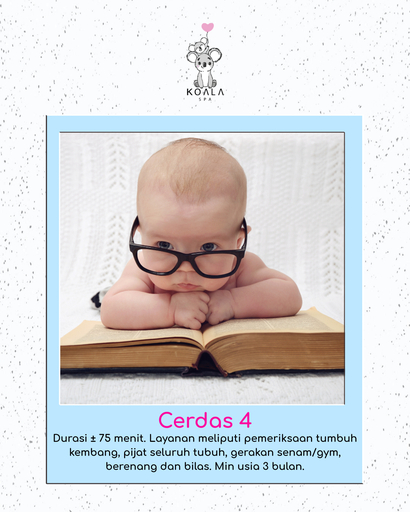 CERDAS 4 